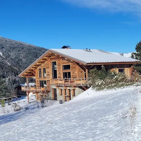 Chalet Mitoyen - Jacuzzi - Cousinade I *